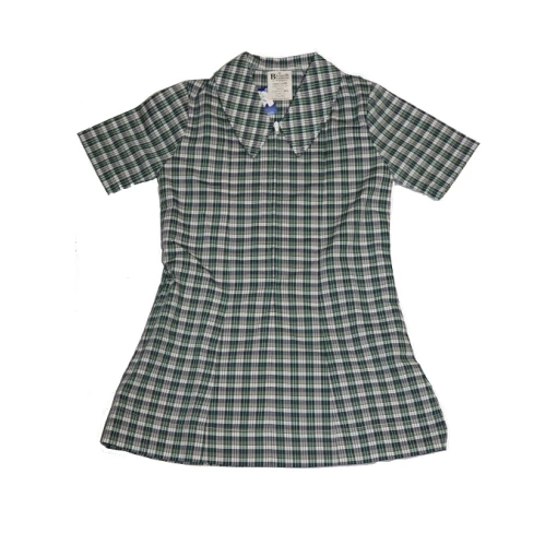 St Francis Xavier School Summer Dress RESIZED St Francis Xavier School Summer Dress RESIZED