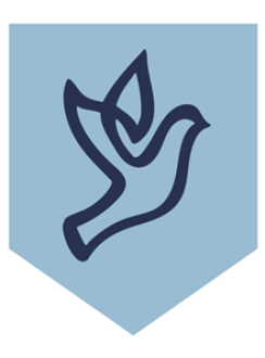 Renew School